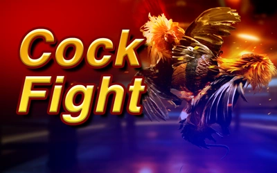 Cockfight